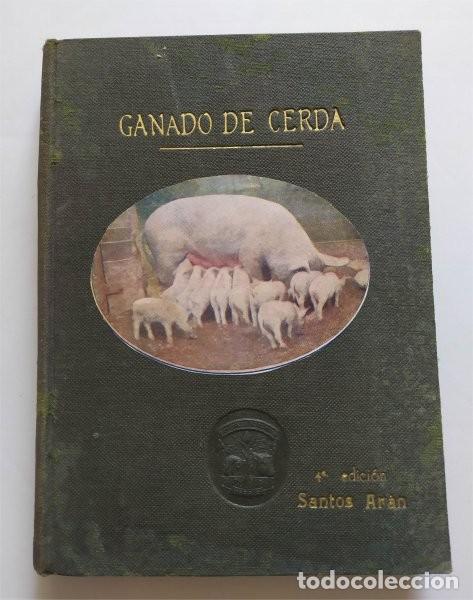 Libros antiguos: Ganado de cerda. Explotaci&oacute;n e industrializaci&oacute;n del cerdo. Santos Ar&aacute;n.
