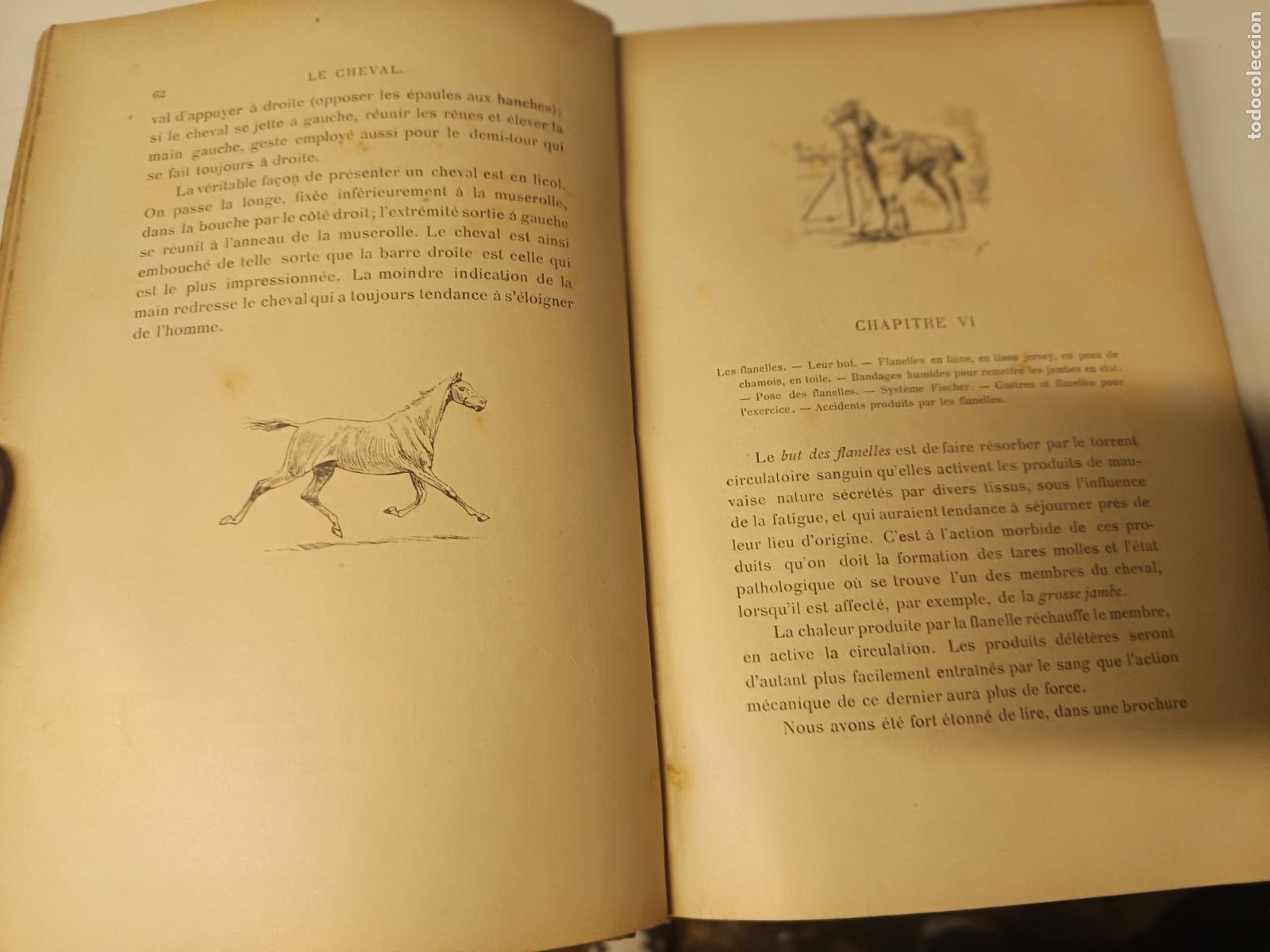 Libros antiguos: LE CHEVAL SOINS PRATIQUES COMTE DE COMMINGES, CUIDADO PRACTICO DEL CABALLO, EN FRANCES - Foto 6
