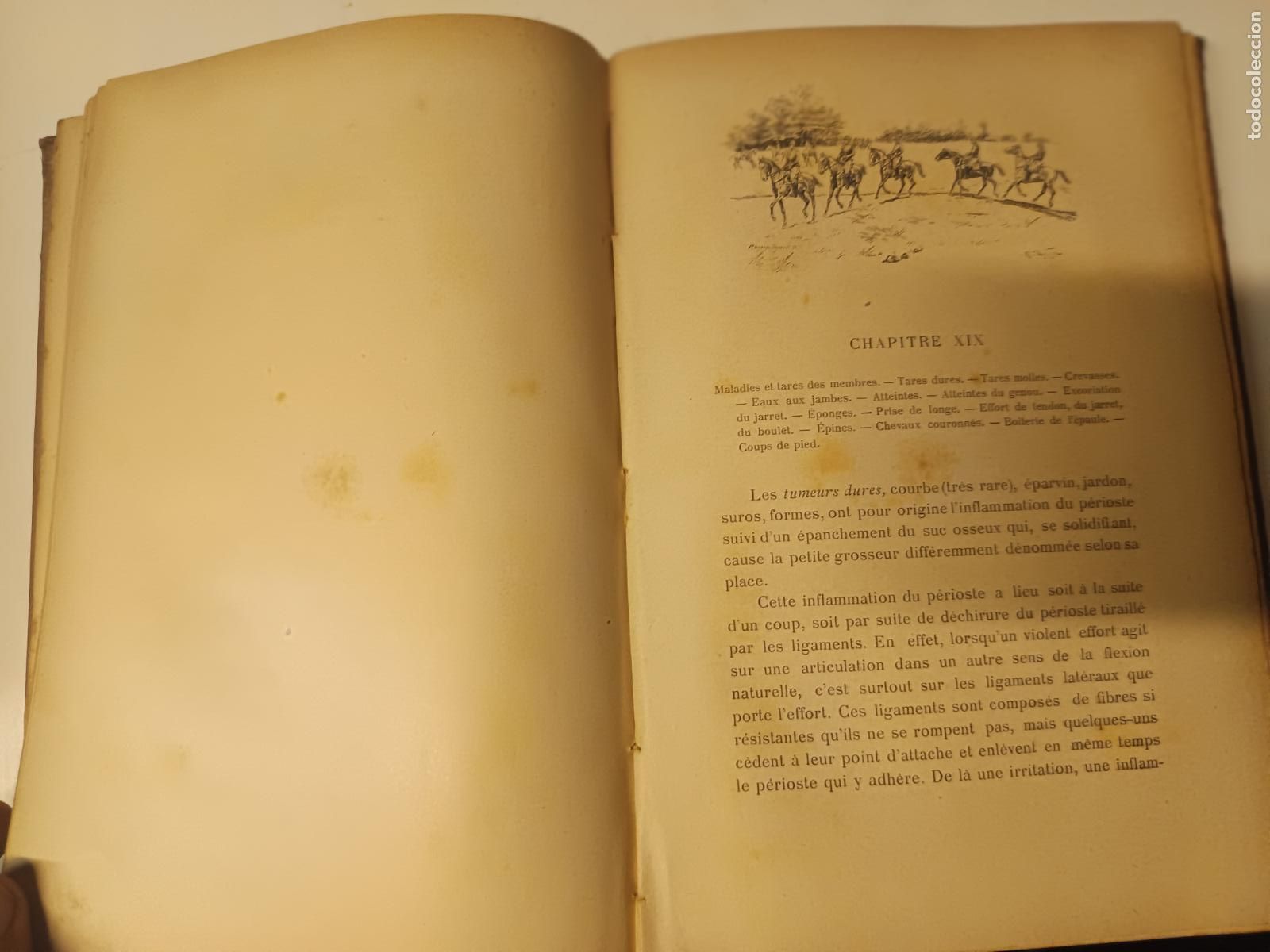 Libros antiguos: LE CHEVAL SOINS PRATIQUES COMTE DE COMMINGES, CUIDADO PRACTICO DEL CABALLO, EN FRANCES - Foto 7