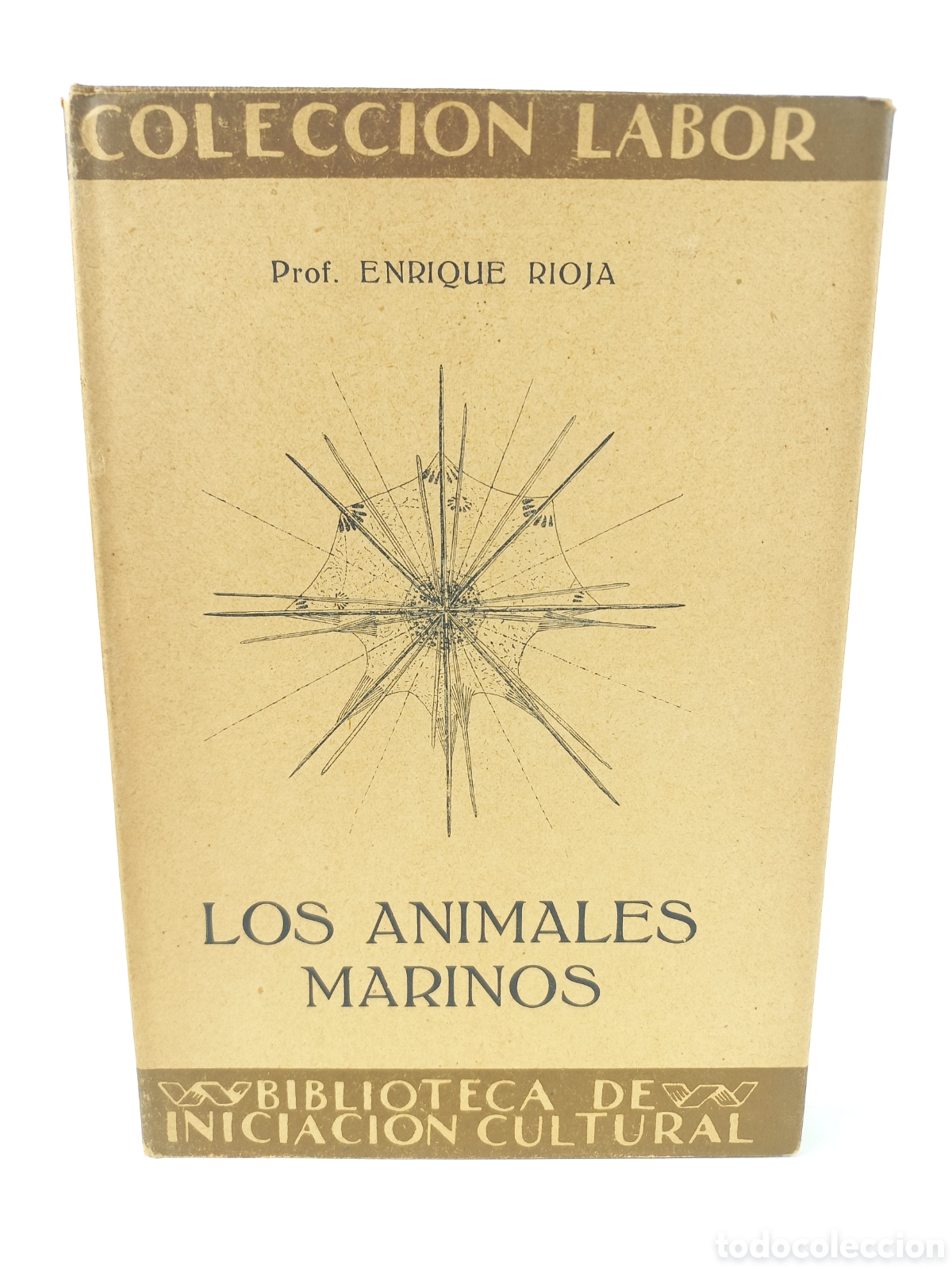 Libros antiguos: Los animales marinos. Enrique Rioja. Labor, primera edici&oacute;n 1929. Ilustrado.
