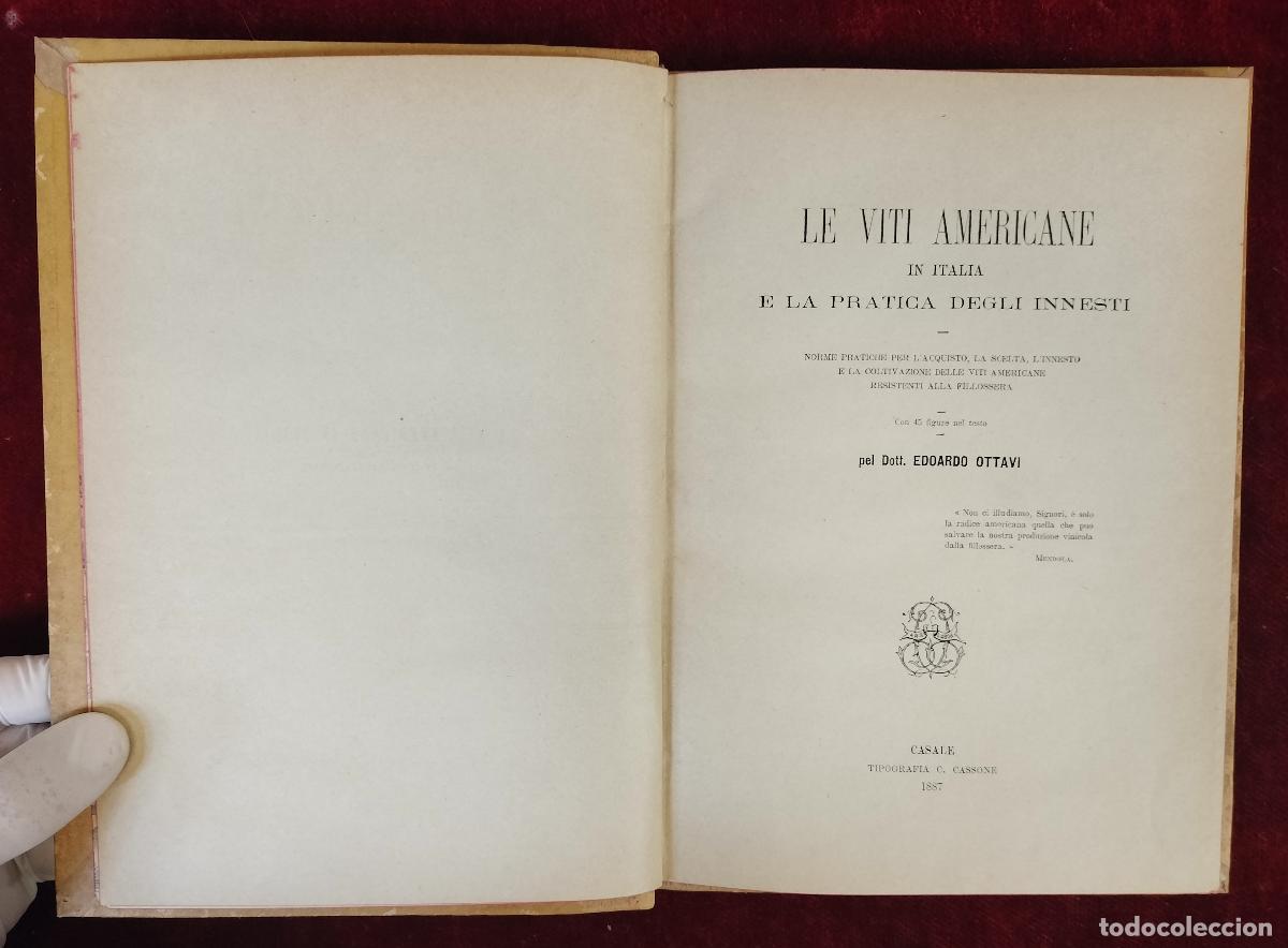 Libros antiguos: LE VITI AMERICANE IN ITALIA E LA PRATICA DEGLI INNESTI. EDOARDO OTTAVI. TIP. CASSONE, 1887