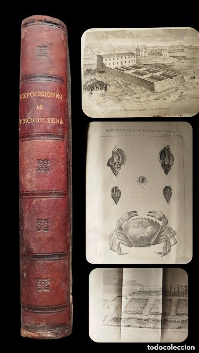 Libros antiguos: Exposiciones de Pesca y Acuicultura, 1867 &ndash; 1&ordf; ed. con l&aacute;minas