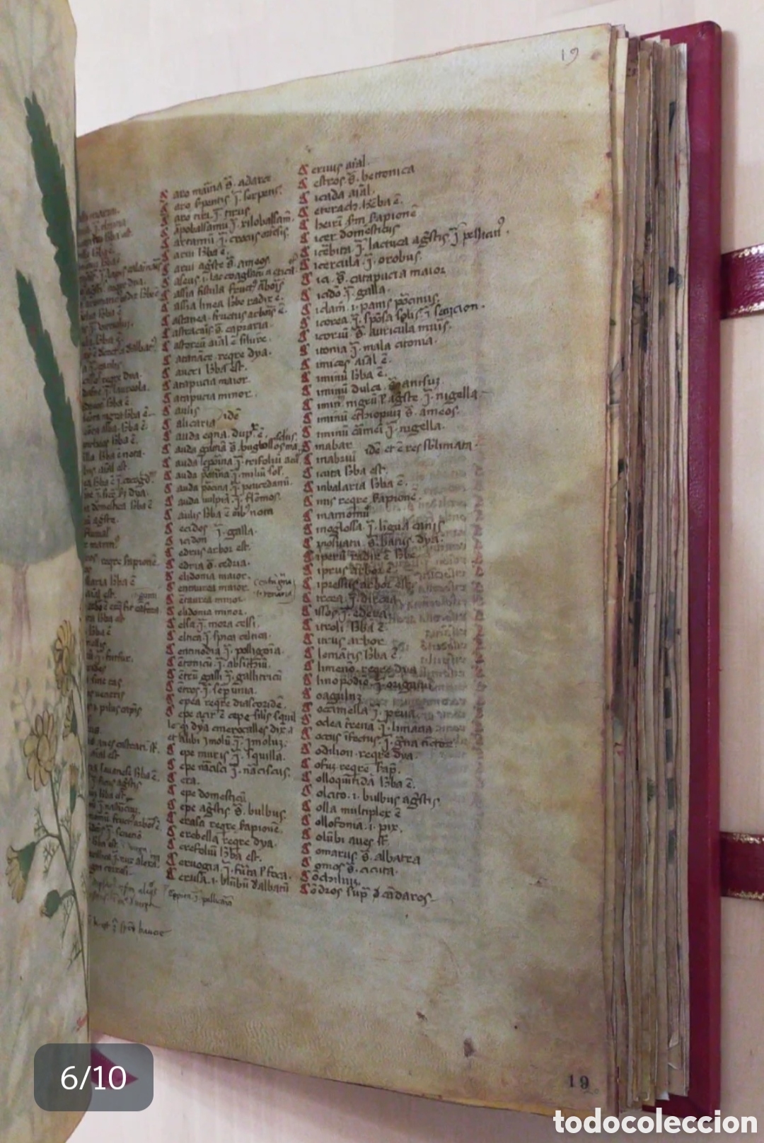 Libros antiguos: DIOSC&Oacute;RIDES LATINO - LIBRO FACSIMIL - JOYA COLECCI&Oacute;N - Foto 6