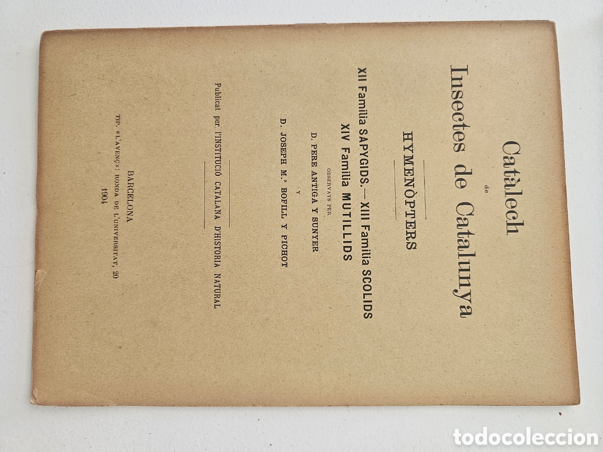 Libros antiguos: Cat&agrave;lech de Insectes de Catalunya - Hymen&ograve;pters (1904) - J. M. Bofill y P. Antiga