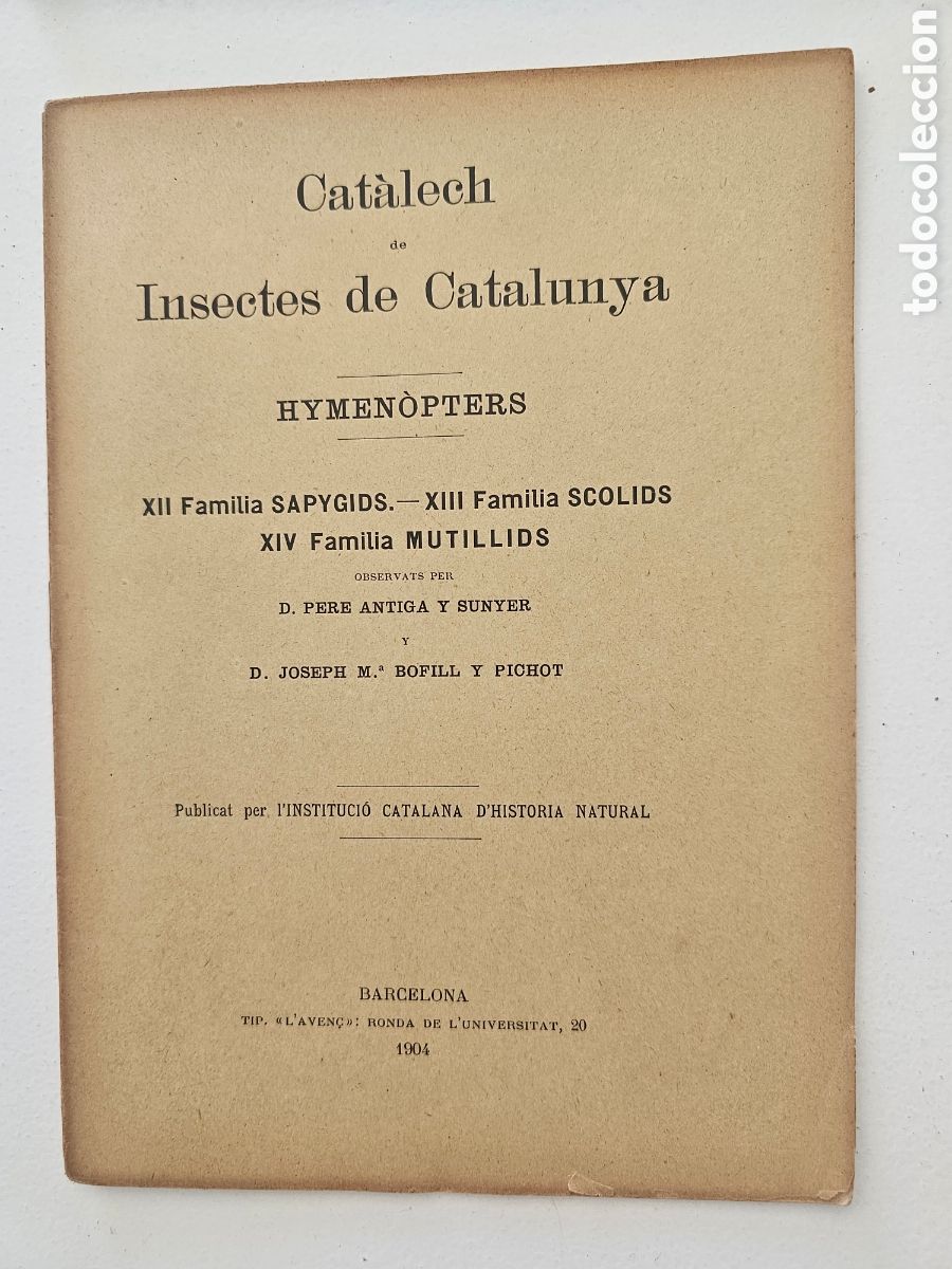 Libros antiguos: Cat&agrave;lech de Insectes de Catalunya - Hymen&ograve;pters (1904) - J. M. Bofill y P. Antiga