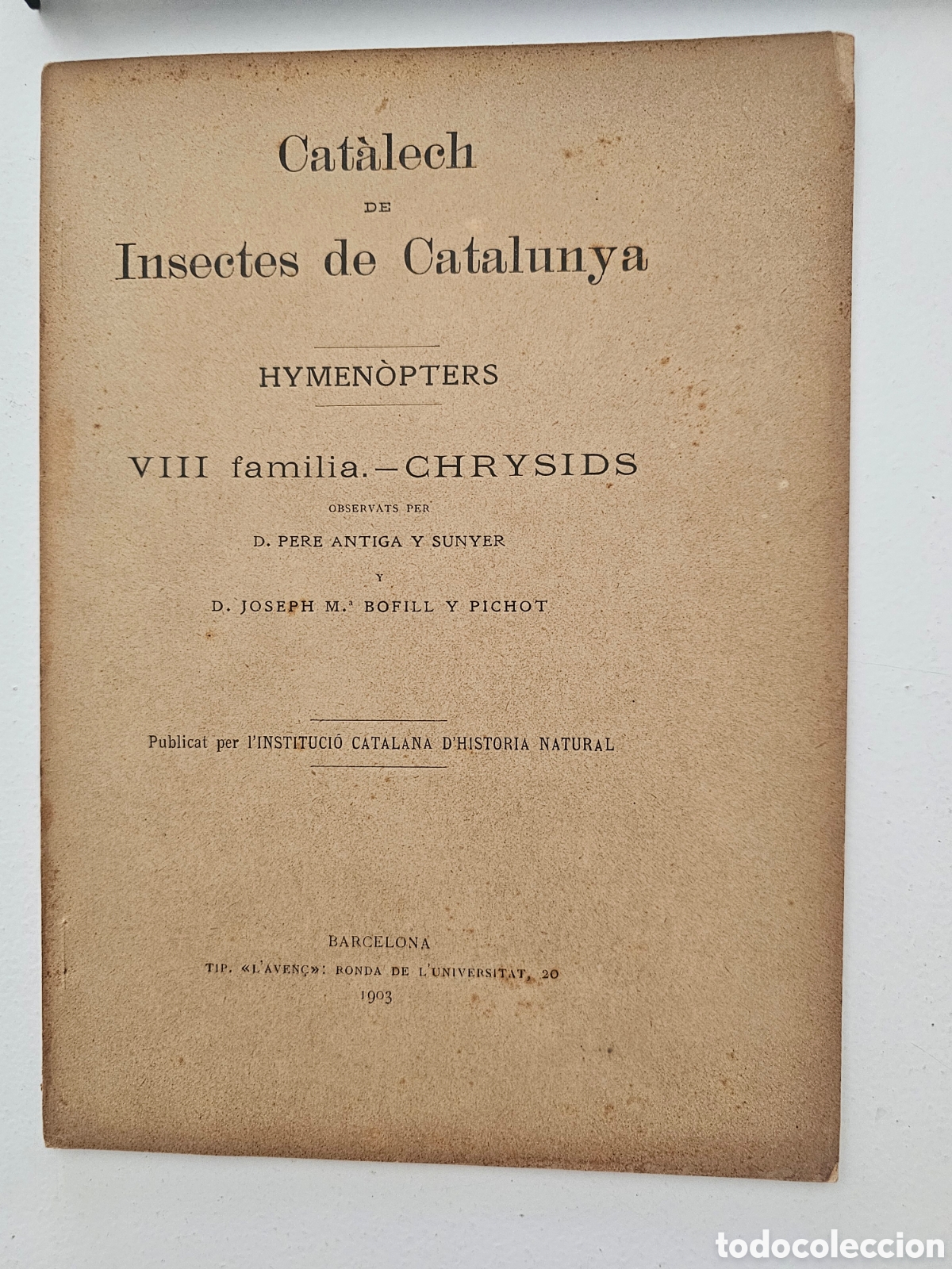 Libros antiguos: ​Cat&agrave;lech de Insectes de Catalunya: Hymen&ograve;pters (Chrysids) - 1903 (Instituci&oacute; Catalana d'Hist&ograve;ria Na