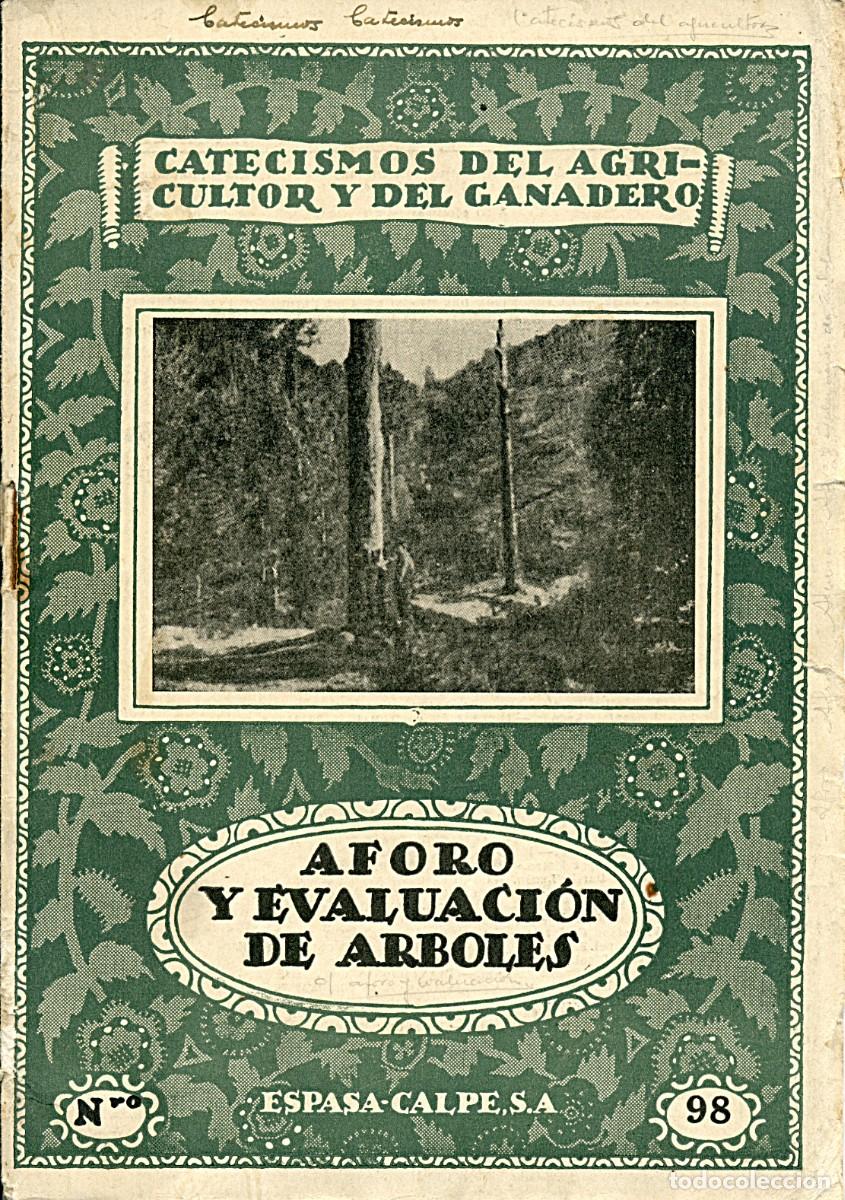 Libros antiguos: Aforo y evaluaci&oacute;n de &aacute;rboles (Catecismo del Agricultor y del Ganadero)