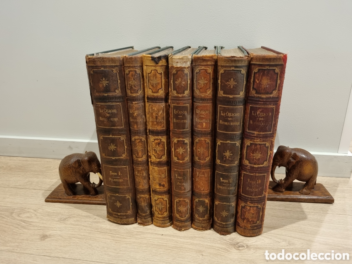 Libros antiguos: 1872-1876. La creaci&oacute;n. Historia natural. 7 tomos. Juan Vilanova.