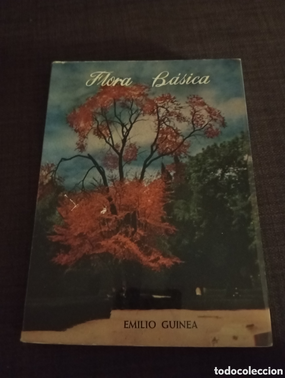 Libros antiguos: Flora B&aacute;sica Emilio Guinea