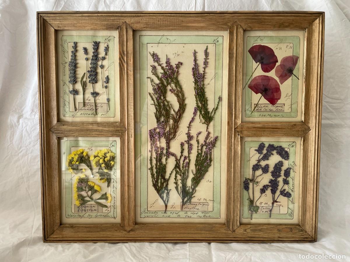 Libros antiguos: Herbario art&iacute;stico de flores y plantas naturales prensadas
