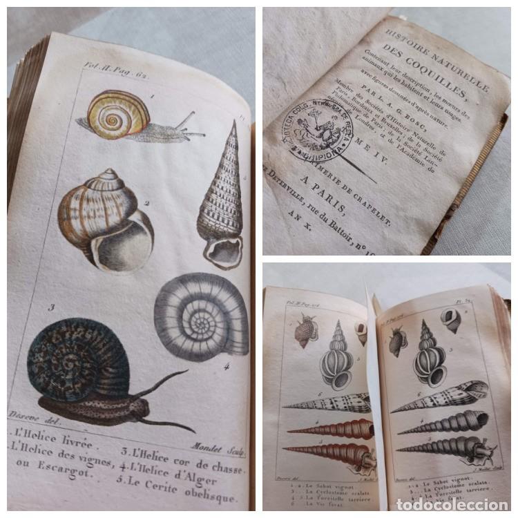Libros antiguos: HISTORIA NATURAL DE LAS CONCHAS (PARIS, A&Ntilde;O X, 1801-1802) - ILUSTRADO CON L&Aacute;MINAS