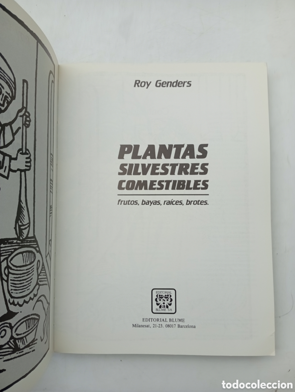 Libros antiguos: Plantas silvestres comestibles - Foto 2