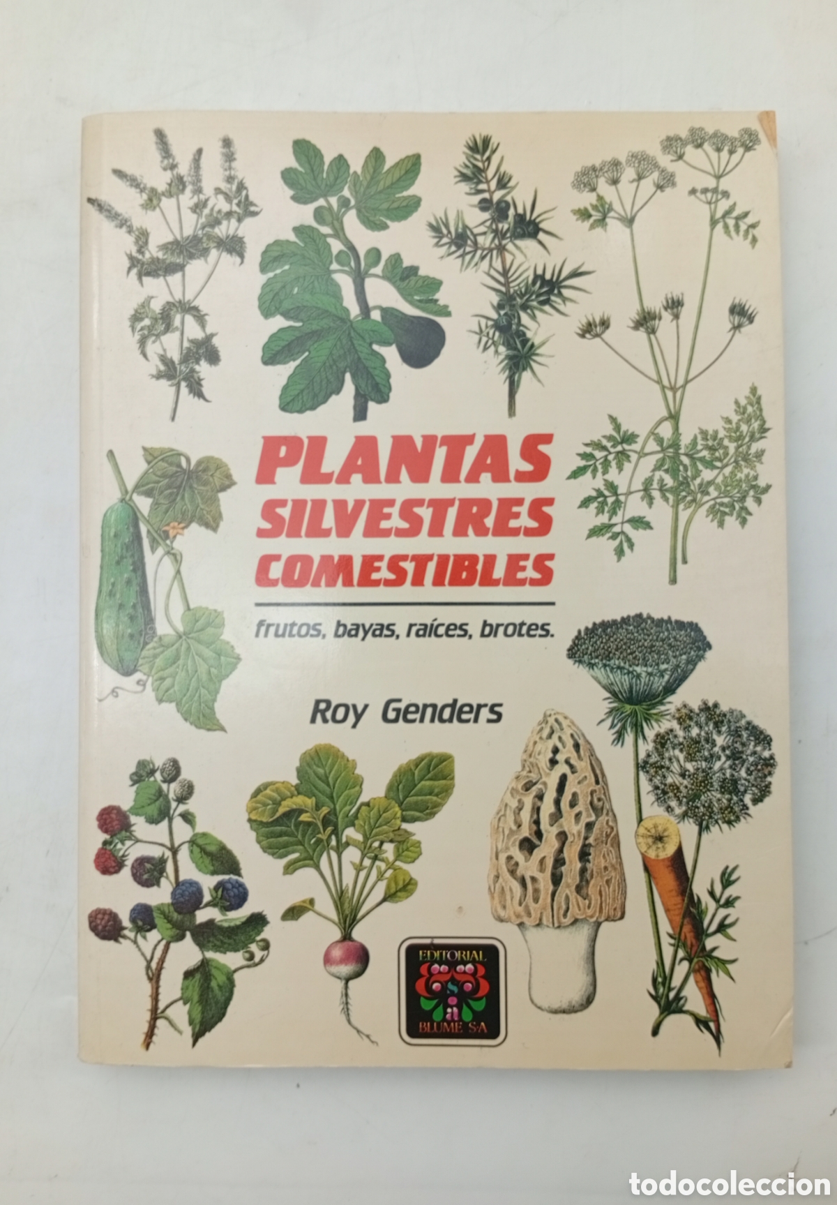 Libros antiguos: Plantas silvestres comestibles - Foto 1