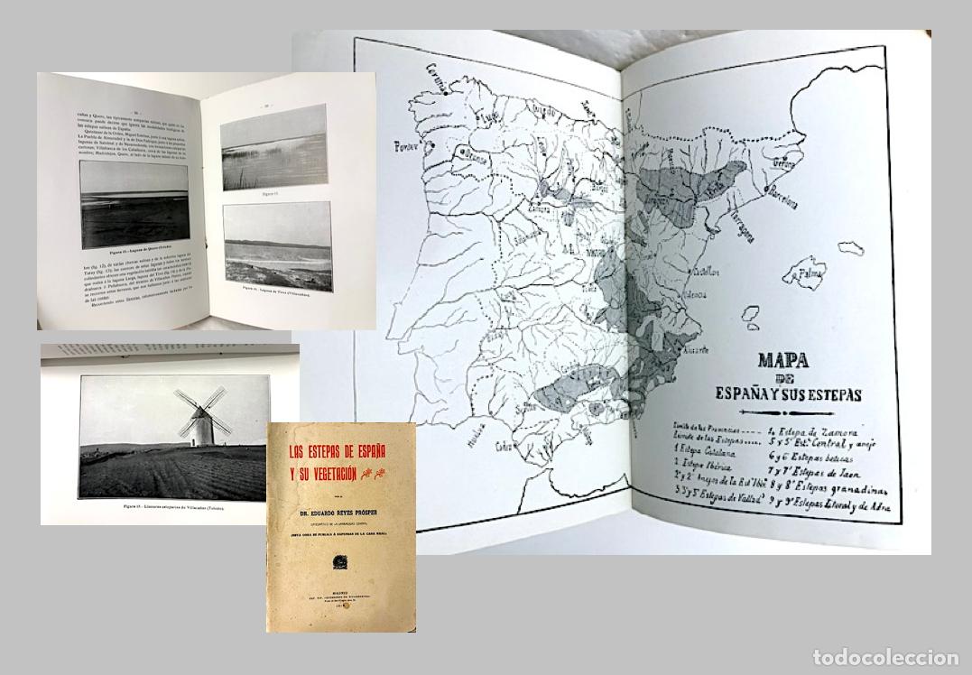 Libros antiguos: Las estepas de Espa&ntilde;a y su vegetaci&oacute;n (1915) Reyes Pr&oacute;sper (Plantas esteparias. Aplicaciones