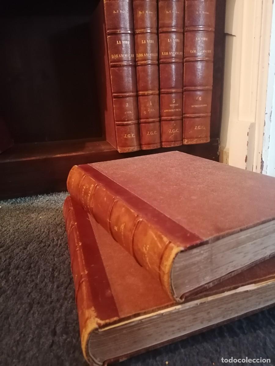 Libros antiguos: La vida de los animales - Foto 2