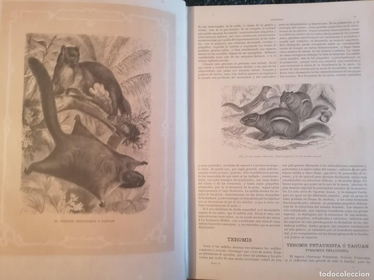 Libros antiguos: La vida de los animales - Foto 3