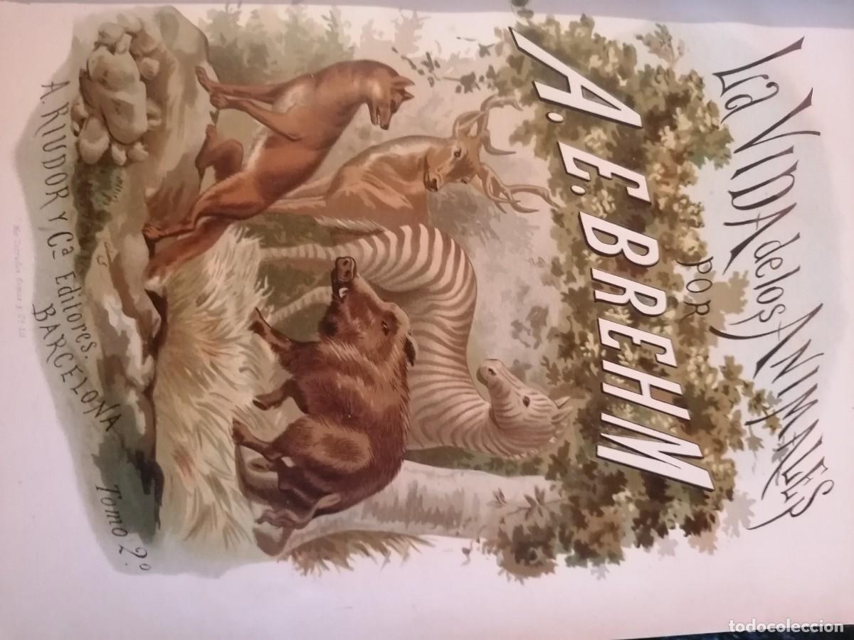 Libros antiguos: La vida de los animales - Foto 4