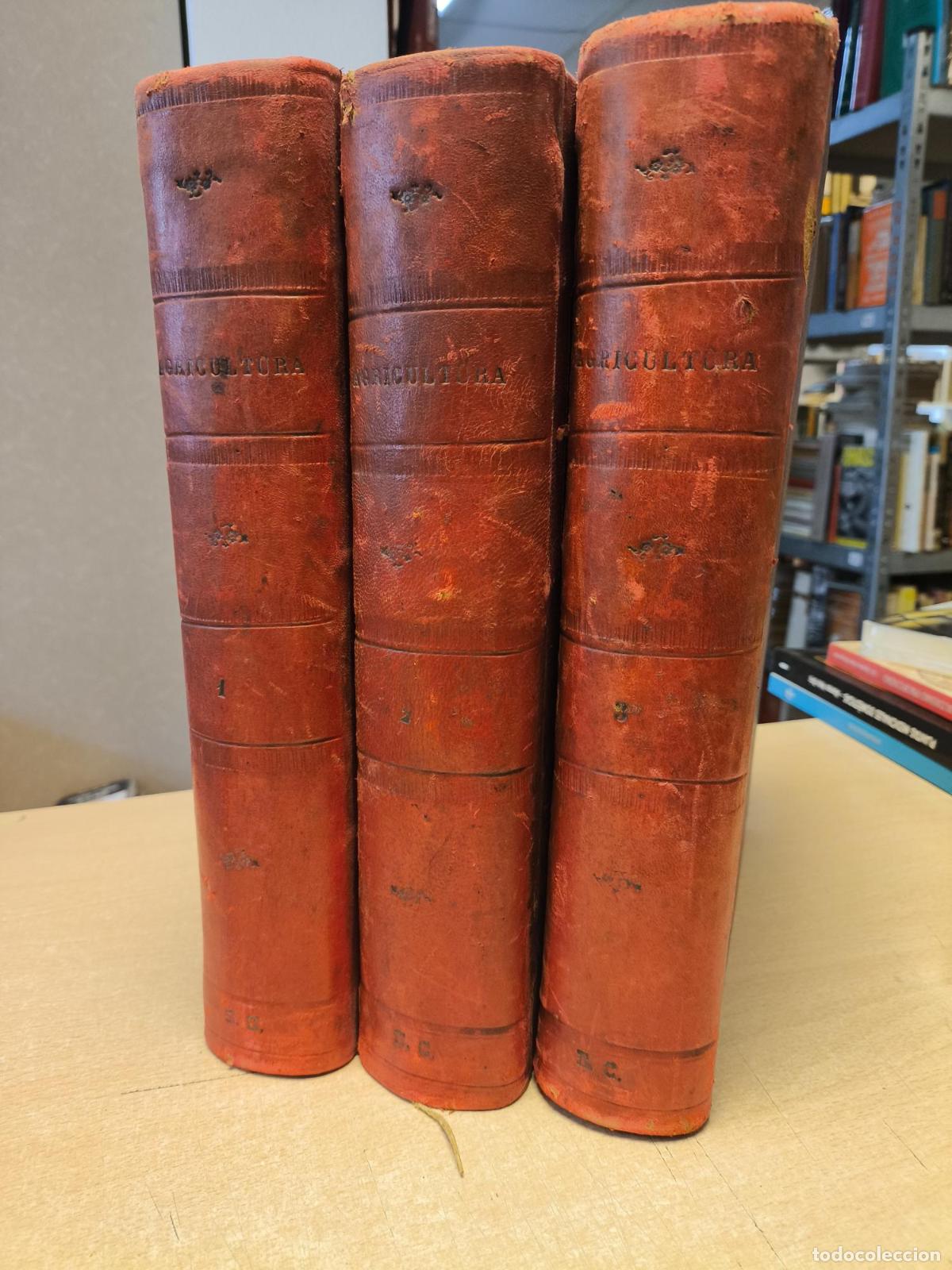 Antiquarische B&uuml;cher: HISTORIA GENERAL DE LA AGRICULTURA' ESTUDIO TE&Oacute;RICO Y PR&Aacute;CTICO 3 TOMOS - Vv. Aa.