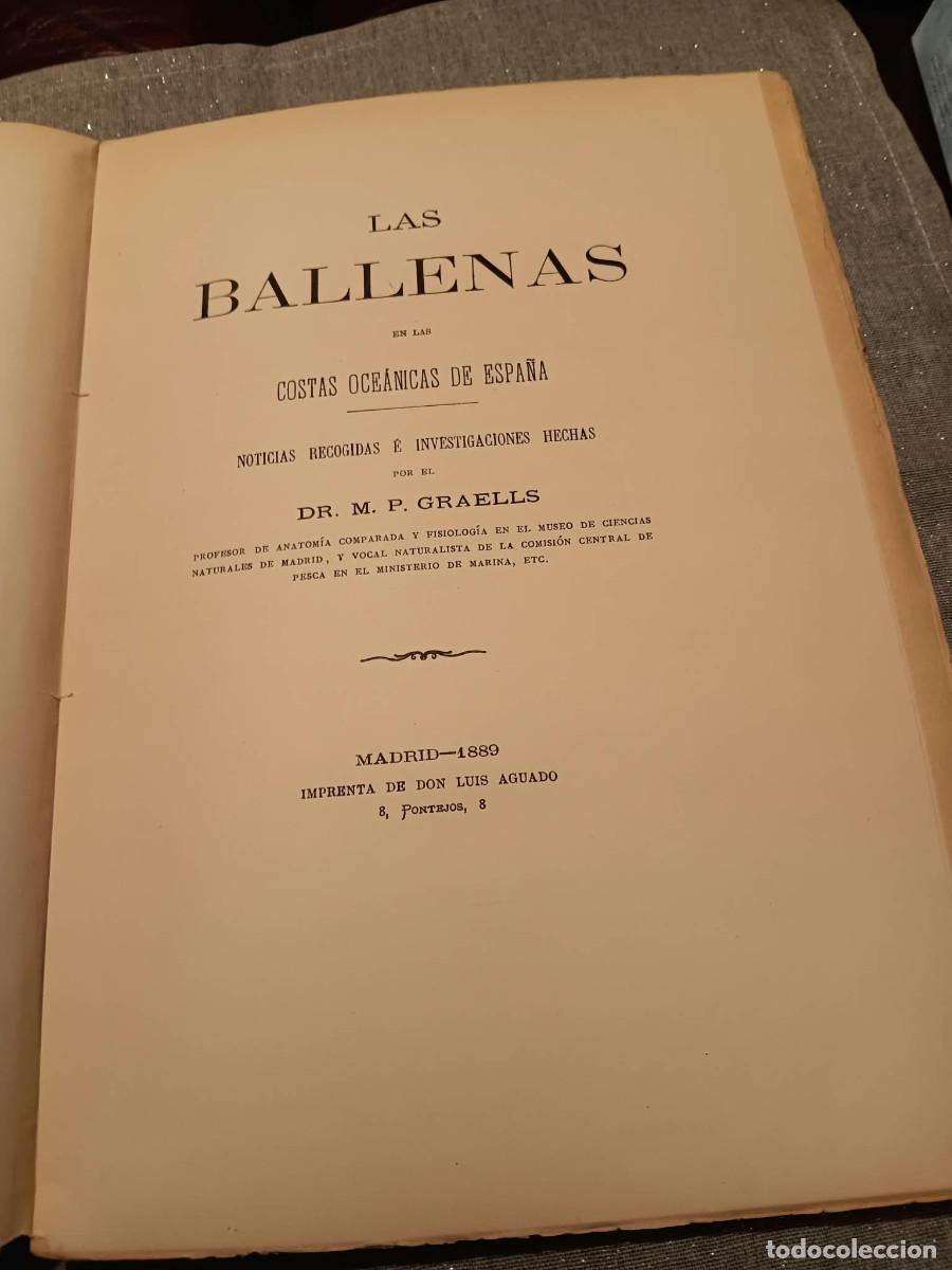 Libros antiguos: M. P. GRAELLS: LAS BALLENAS EN LAS COSTAS OCE&Aacute;NICAS DE ESPA&Ntilde;A. 1889. CET&Aacute;CEOS