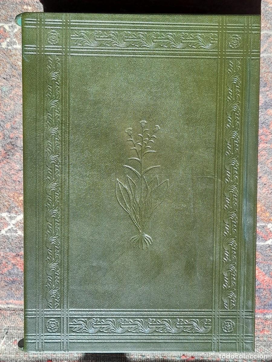 Libros antiguos: &rdquo;Facs&iacute;mil Tractatus de Herbis - M. Moleiro Editor (Ejemplar N&ordm; 202/987) - Foto 2