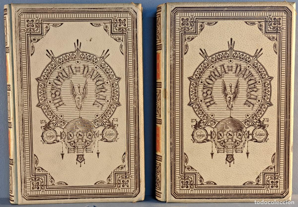 Libros antiguos: Historia Natural Mineralog&iacute;a y Geolog&iacute;a 1894-1895 - 2 Tomos - Montaner y Sim&oacute;n