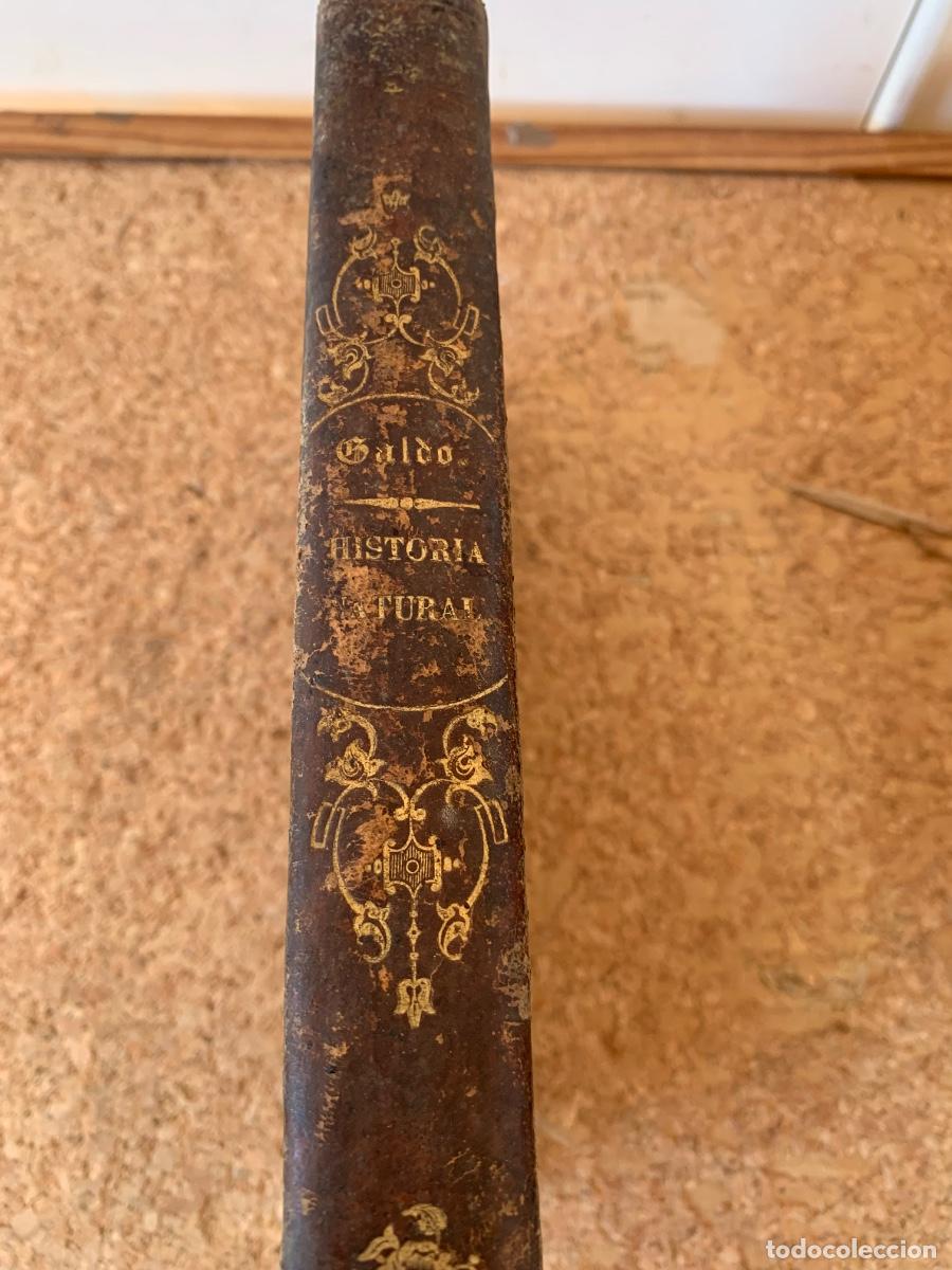 Libros antiguos: Manual de Historia Natural a&ntilde;o 1860 ( Bols 51)