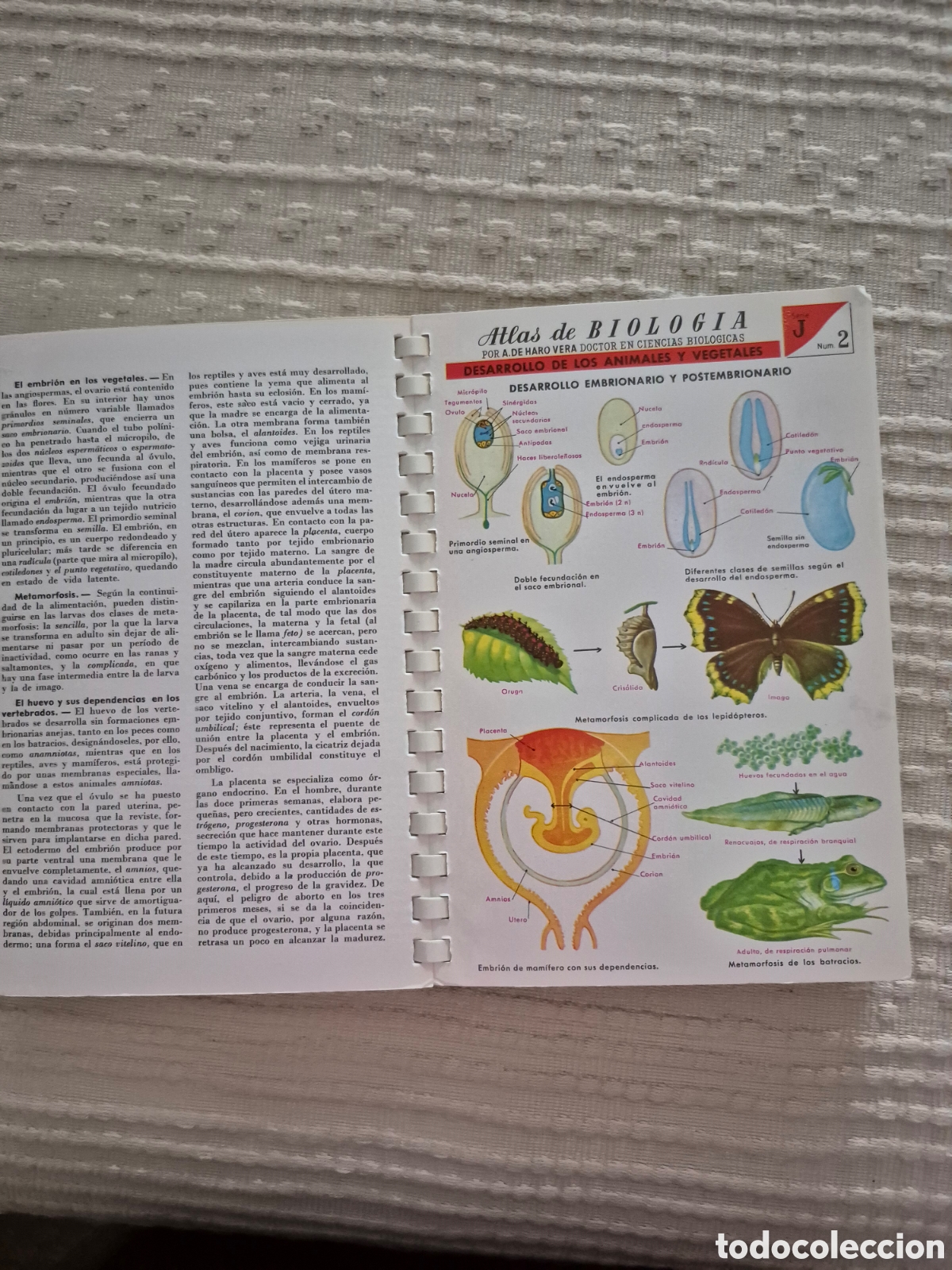 Libros antiguos: Atlas de biologia &rdquo; A. de Haro Vera: - Foto 6