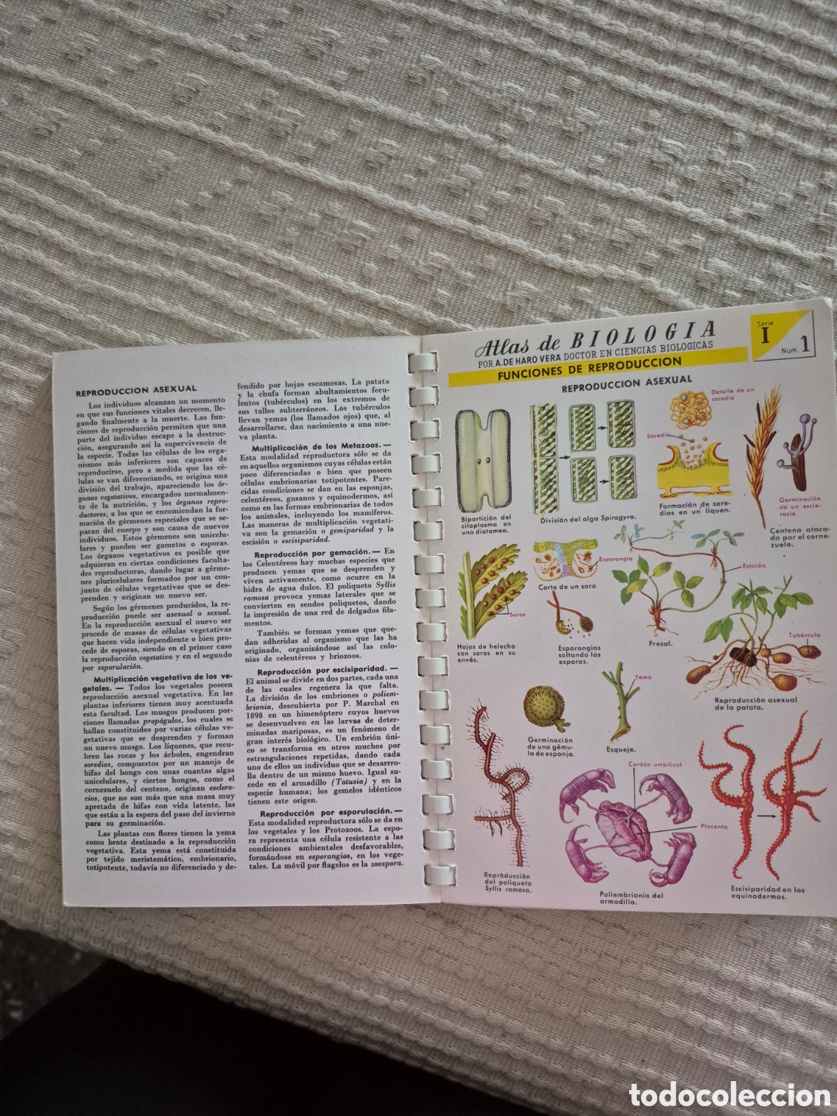 Libros antiguos: Atlas de biologia &rdquo; A. de Haro Vera: - Foto 7