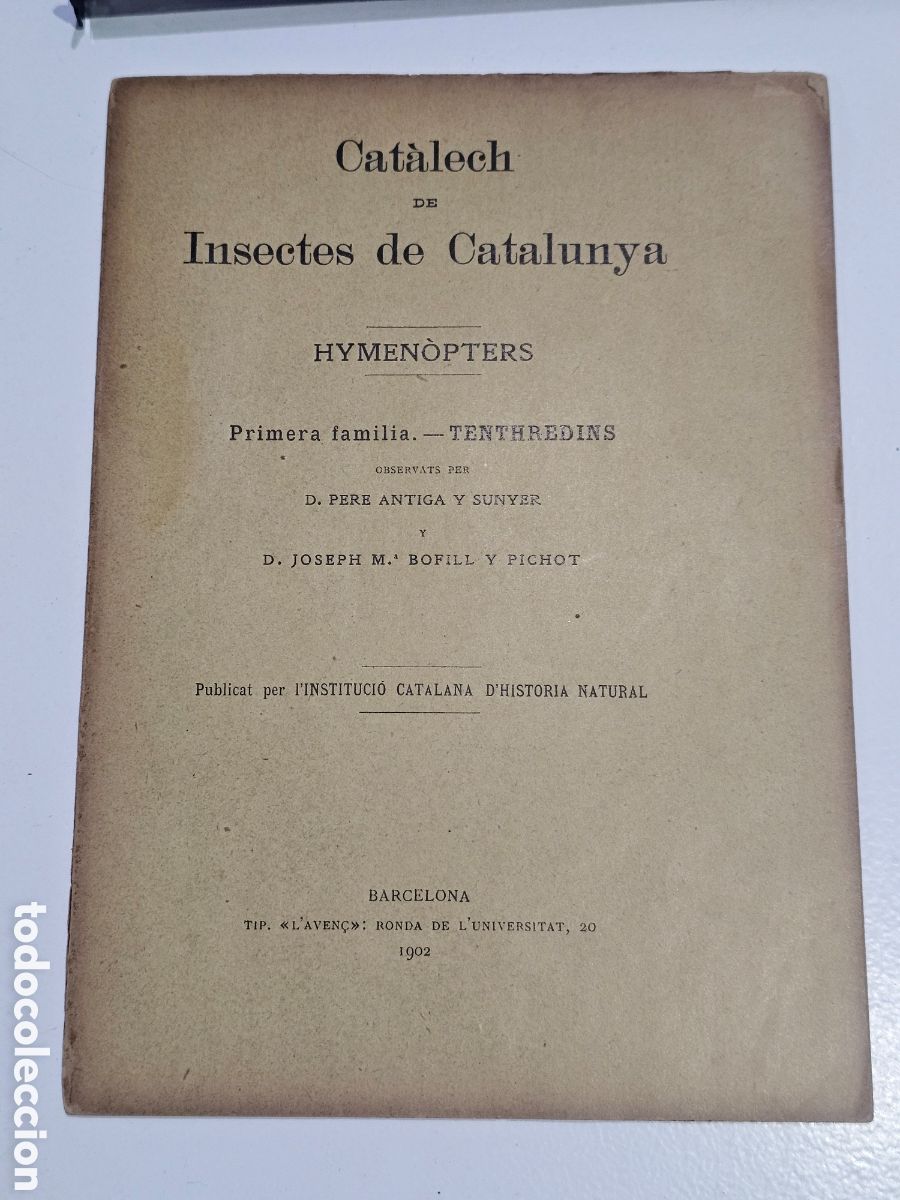 Libros antiguos: ​Libro Raro (1902): Cat&agrave;lech de Insectes de Catalunya - Hymen&ograve;pters (Tenthredins) - Pere Antiga y Bo