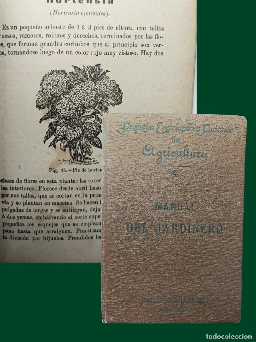 Libros antiguos: MANUAL DEL JARDINERO. BAILLY-BAILLIERE. 1901