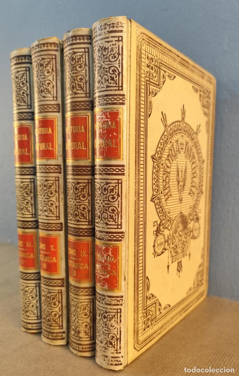 Libri antichi: Colecci&oacute;n de 4 tomos Historia Natural &ndash; Bot&aacute;nica, Od&oacute;n de Buen (1891)