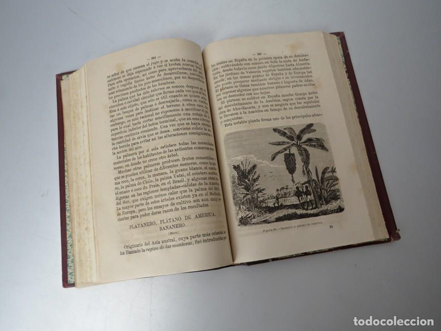 Livros antigos: TRATADO COMPLETO DEL CULTIVO DE &Aacute;RBOLES Y ARBUSTOS FRUTALES. BUENAVENTURA ARAG&Oacute;. 1874