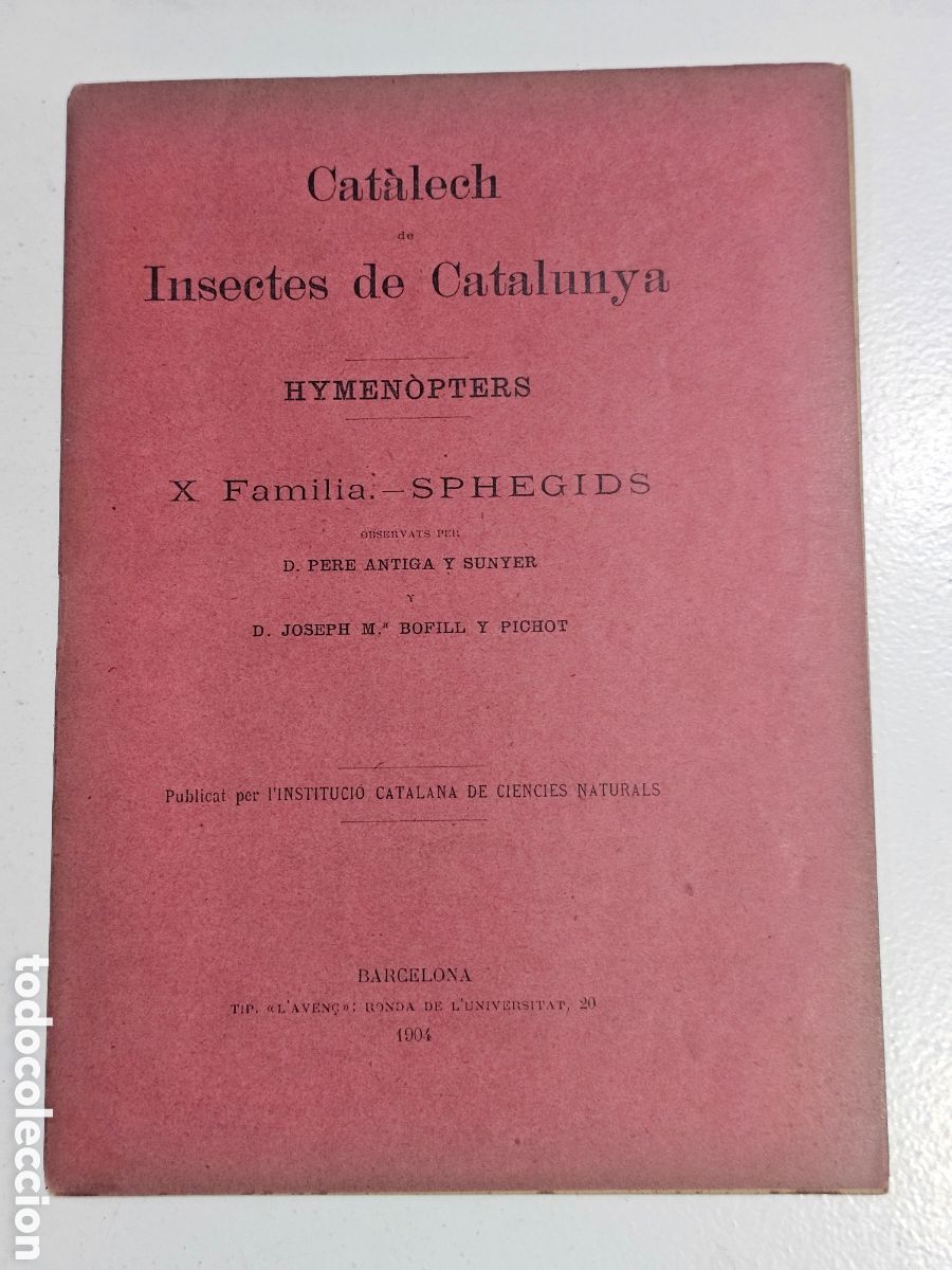 Libros antiguos: Libro Antiguo &rdquo;Cat&agrave;lech de Insectes de Catalunya&rdquo; (1904) - Hymen&ograve;pters (Sphegids)