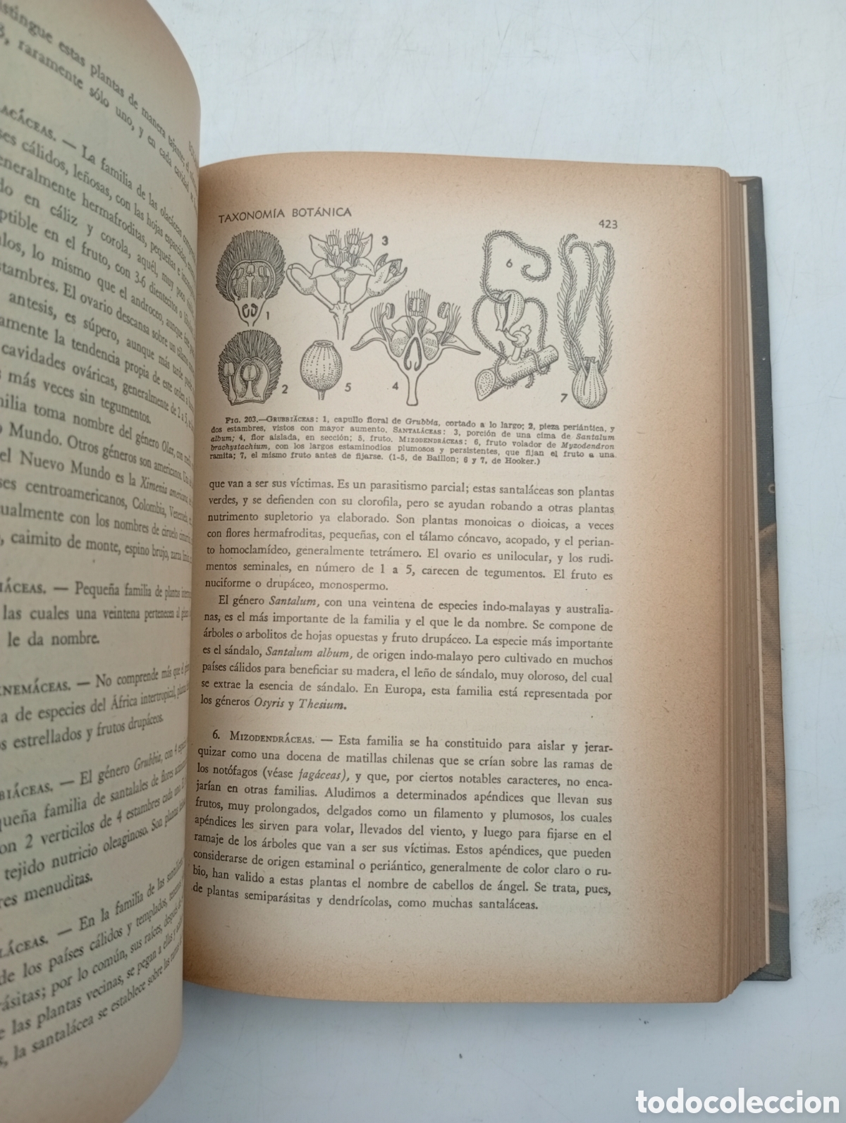 Libros antiguos: Bot&agrave;nica pintoresca a&ntilde;o 1964 - Foto 3