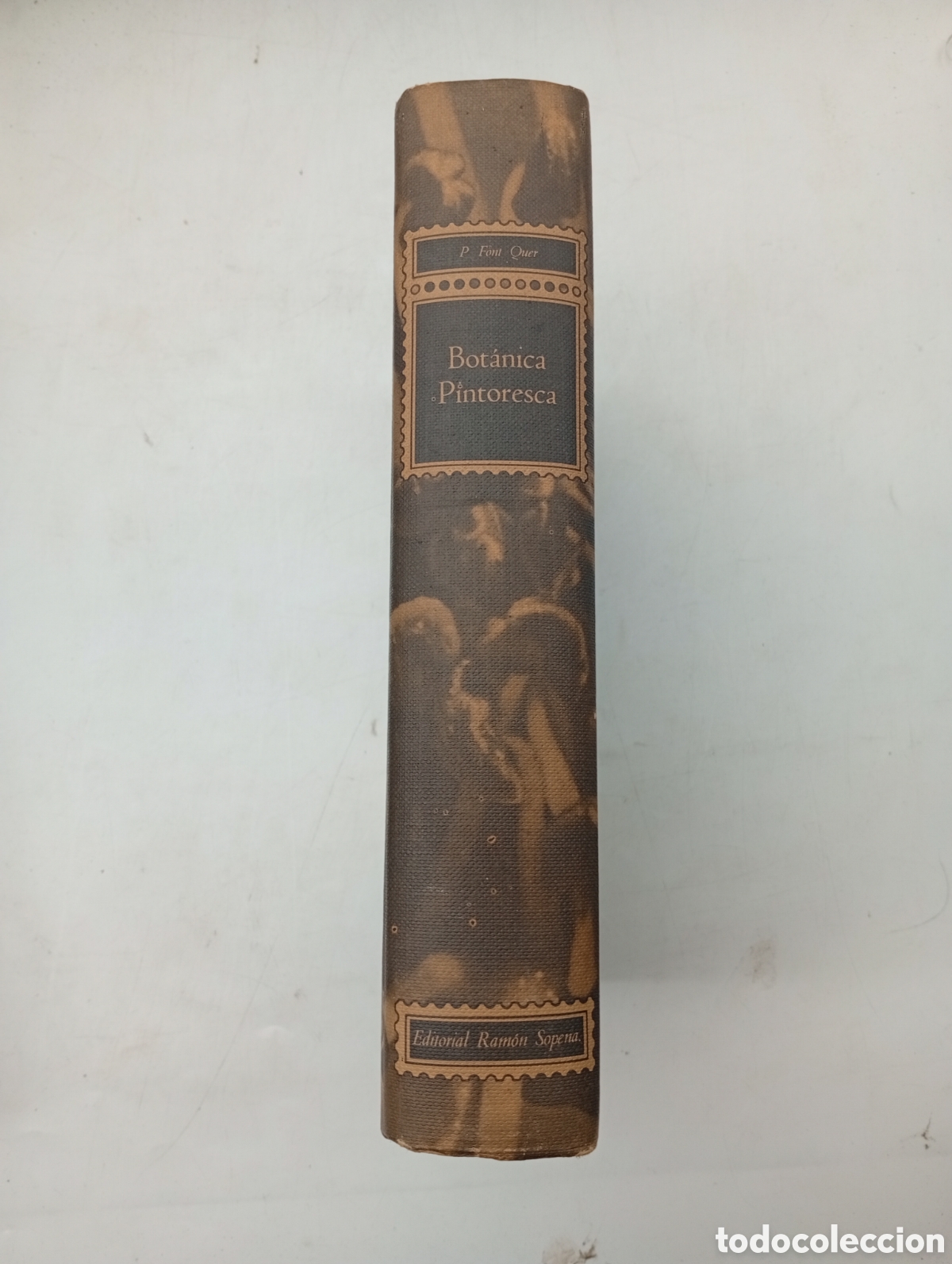Libros antiguos: Bot&agrave;nica pintoresca a&ntilde;o 1964 - Foto 8