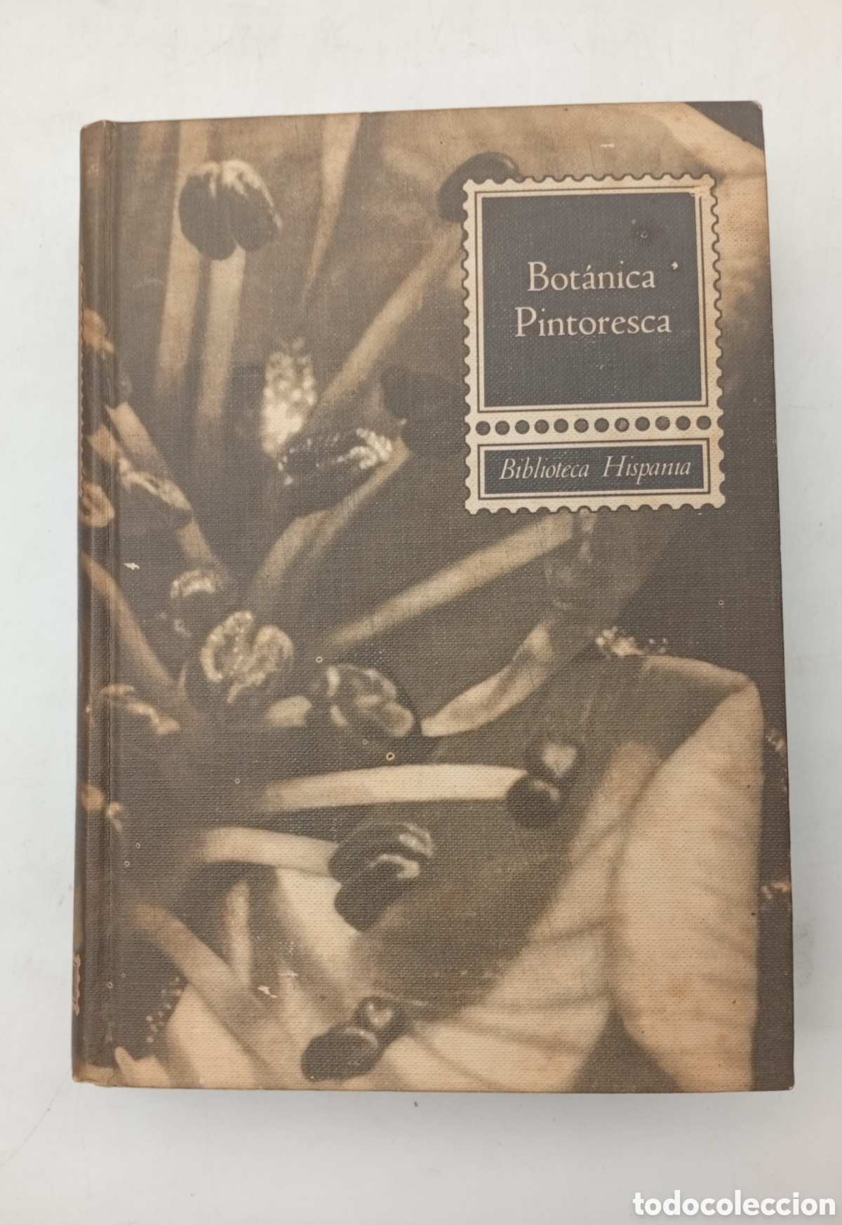 Libros antiguos: Bot&agrave;nica pintoresca a&ntilde;o 1964
