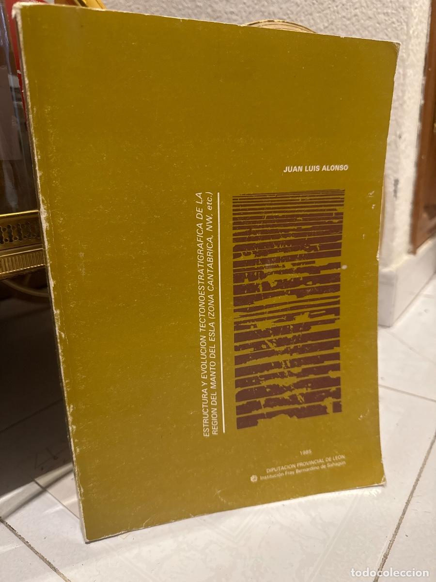Libros antiguos: ESTRUCTURA Y EVOLUCI&Oacute;N TECTONOESTRATIGRAFICA DE MA REGI&Oacute;N DEL MANTO DEL ESLA