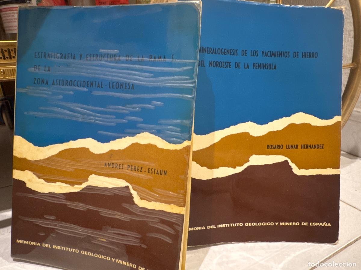 Libros antiguos: Memoria del instituto geol&oacute;gico y minero de Espa&ntilde;a.