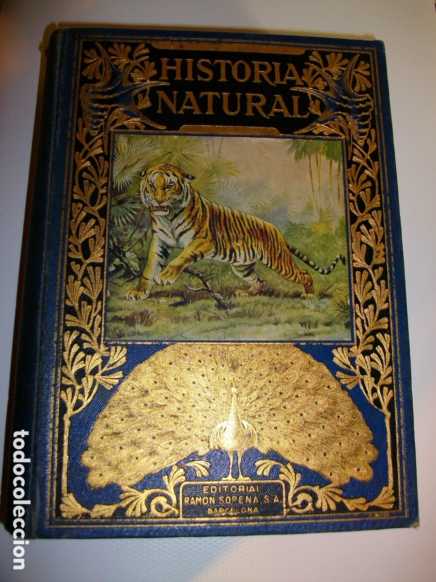 Livres anciens: Libro Historia Natural Popular de los a&ntilde;os 30