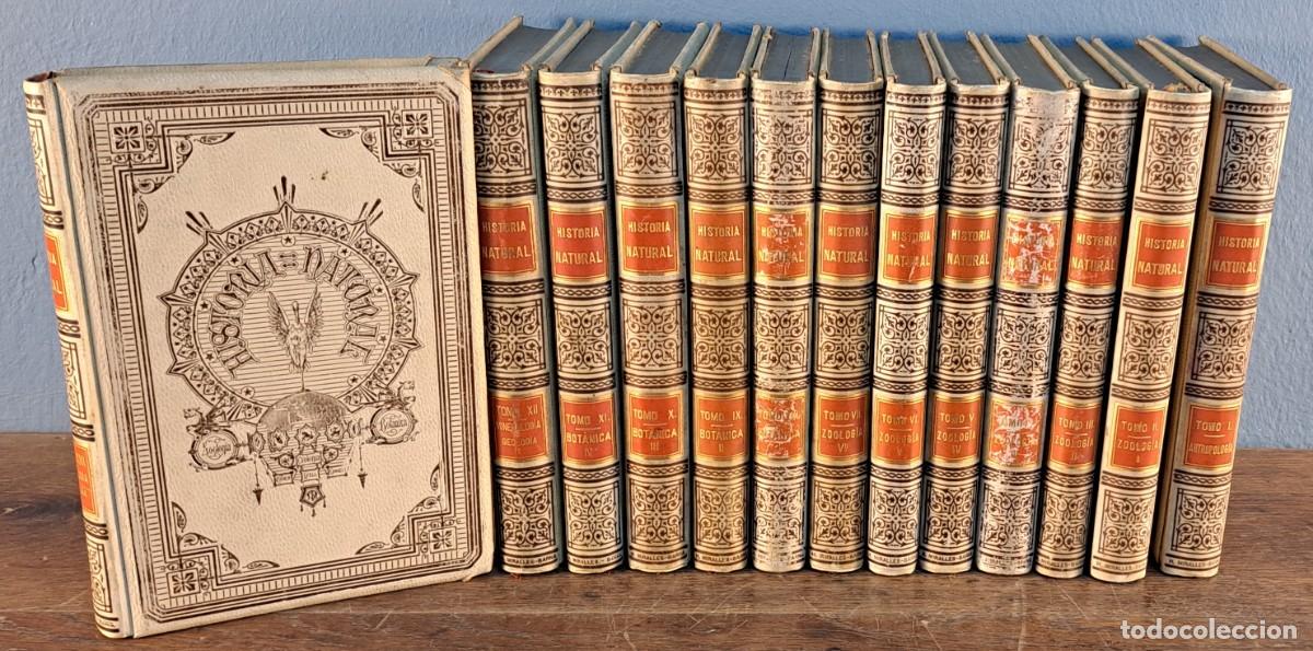 Libros antiguos: Historia natural 1891 - colecci&oacute;n completa 13 tomos - antropolog&iacute;a, zoolog&iacute;a, bot&aacute;nica y geolog&iacute;a