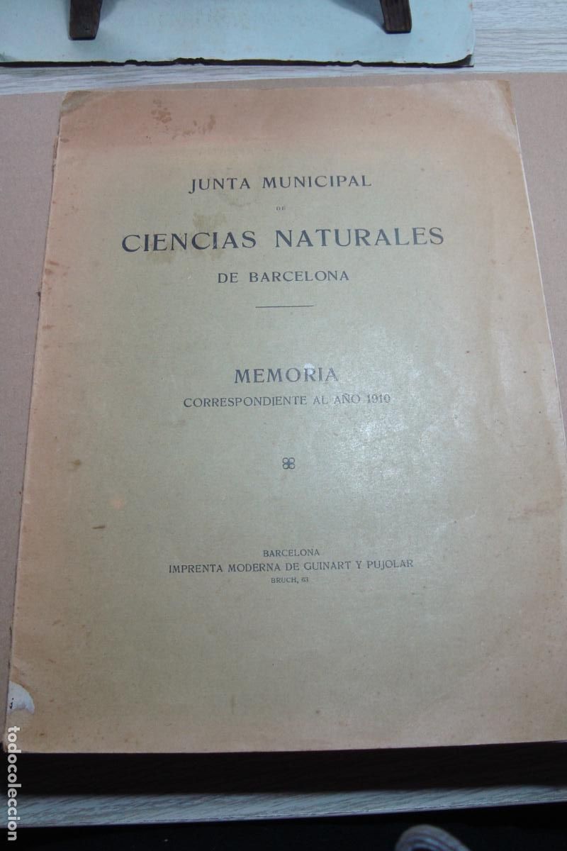 Libros antiguos: JUNTA MUNICIPAL CIENCIAS NATURALES MEMORIA. BARCELONA 1910.