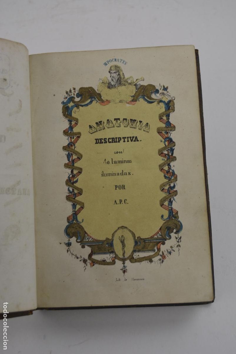 Libros antiguos: Curso elemental de anatom&iacute;a descriptiva, 1847, Imprenta Viuda de Burgos, Madrid. 19x13cm