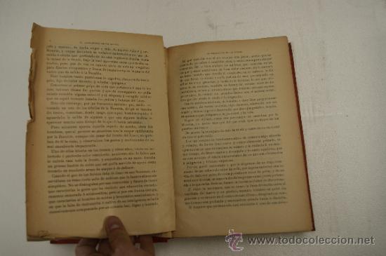 Libros antiguos: 2 tomos. El testamento de un martir. 1885. - Foto 10
