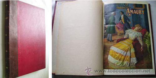 Libros antiguos: AMAURY. DUMAS, Alejandro - Foto 1