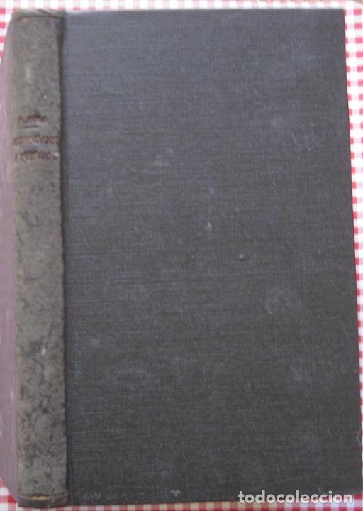 Libros antiguos: CUENTOS A NINON. EMILIO ZOLA (GASSO ca.1910) - Foto 1