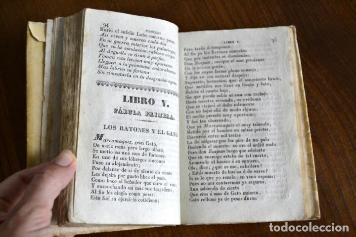 Libros antiguos: 1846 FABULAS EN VERSO CASTELLANO FELIX MARIA SAMANIEGO 2 TOMOS EN 1 VOLUMEN - Foto 9 - 94165845