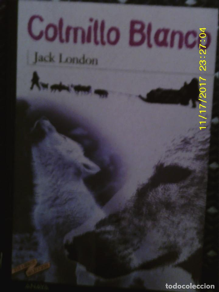 Libros antiguos: LIBRO N&ordm; 1307 COLMILLO BLANCO DE JACK LONDON - Foto 1