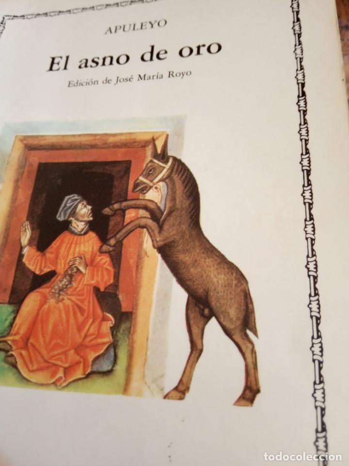 Libros antiguos: Apuyuelo el asno de oro - Foto 1
