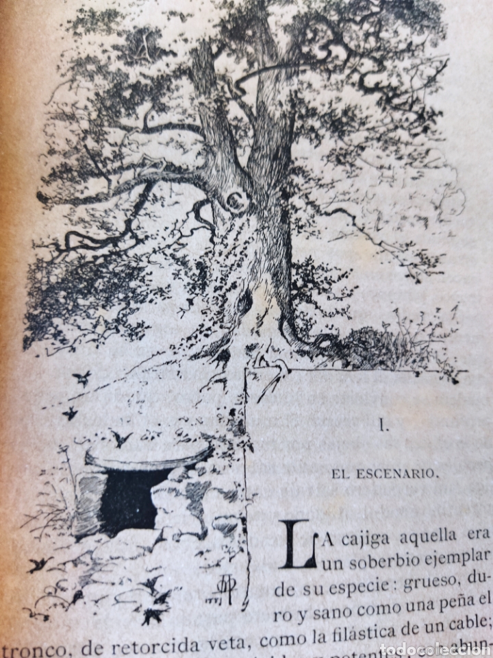 Libros antiguos: El sabor de la Tierruca.J M de Pereda.1 edicion 1882 - Foto 5
