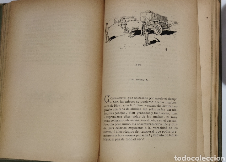 Libros antiguos: El sabor de la Tierruca.J M de Pereda.1 edicion 1882 - Foto 14